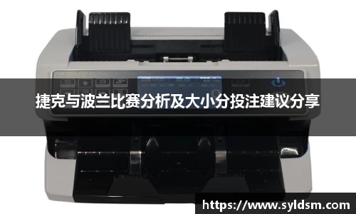 捷克与波兰比赛分析及大小分投注建议分享