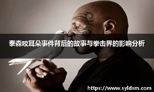 mk体育平台